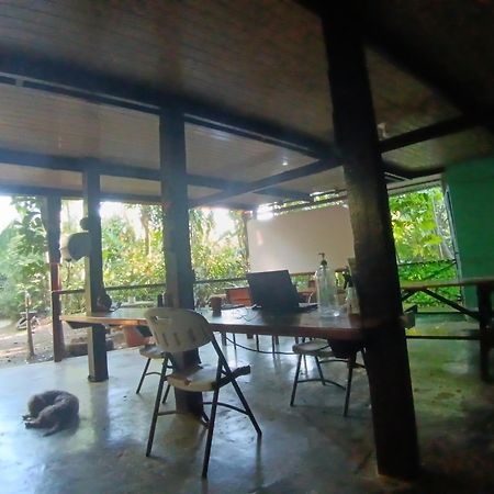 Nativos Corcovado Cabins Drake Bay Ngoại thất bức ảnh