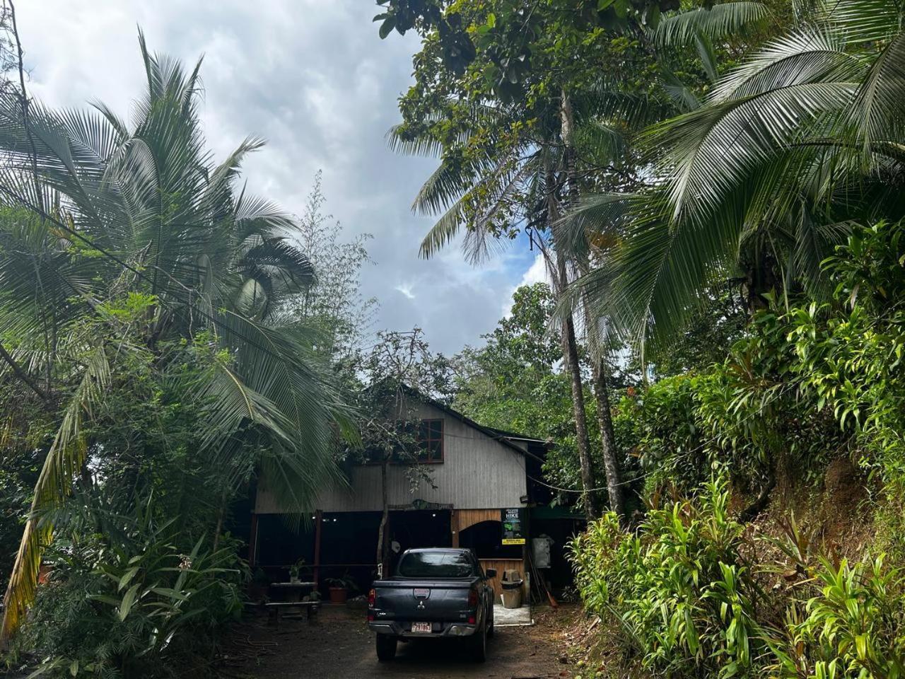 Nativos Corcovado Cabins Drake Bay Ngoại thất bức ảnh