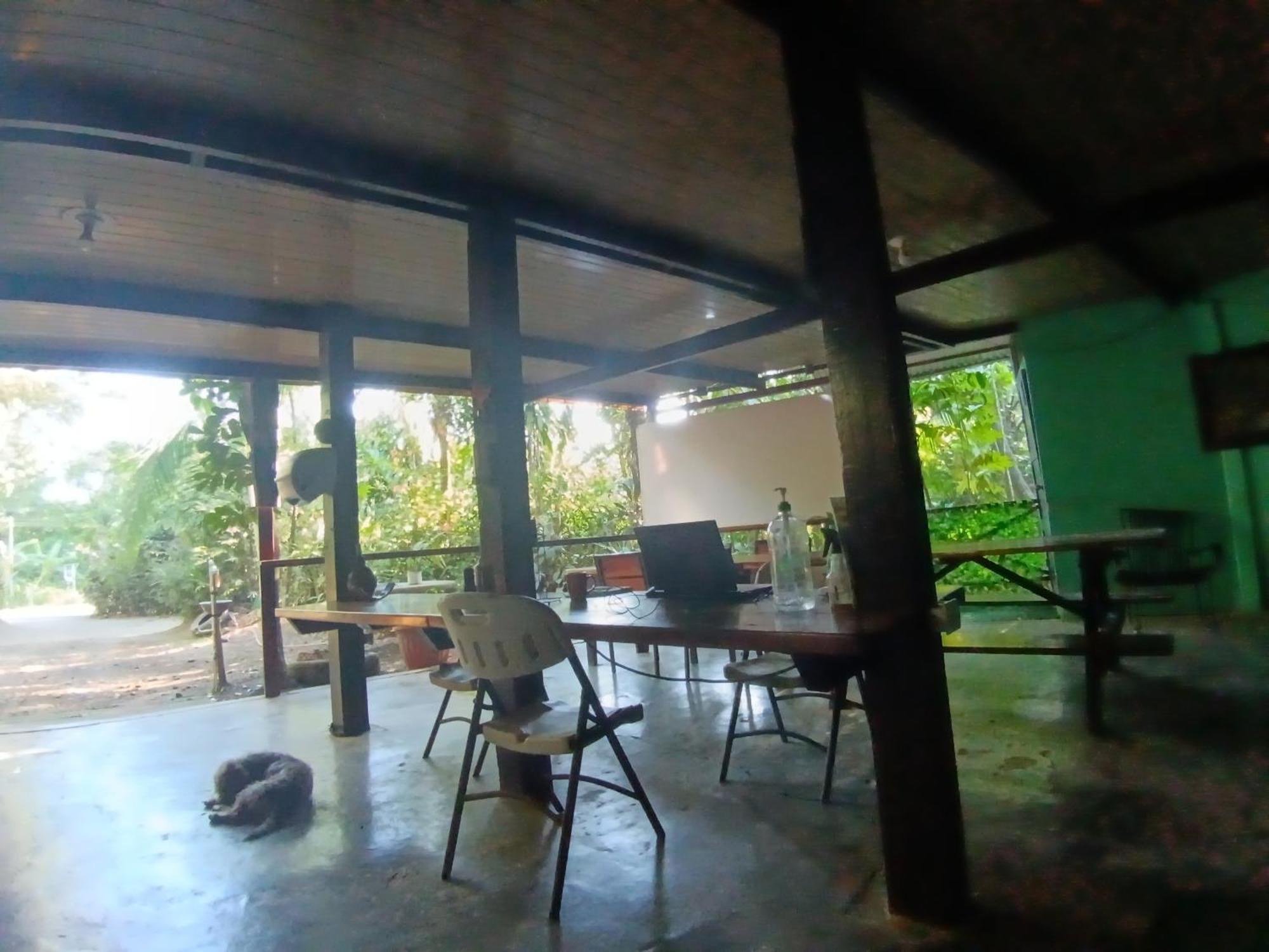 Nativos Corcovado Cabins Drake Bay Ngoại thất bức ảnh